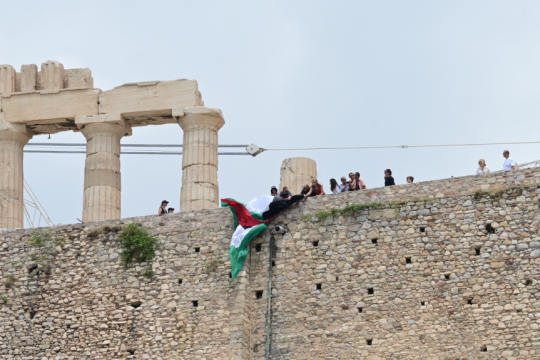 Παλαιστίνη, Νέα Αριστερά